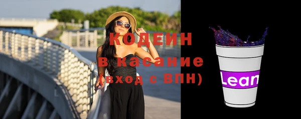 хмурый Алексин