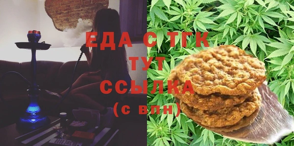 хмурый Алексин