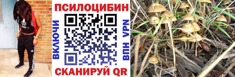 хочу наркоту  mega как зайти  Псилоцибиновые грибы ЛСД  Уссурийск 